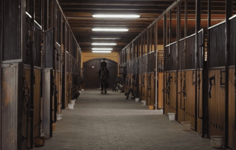 Hacjenda jak z Dzikiego Zachodu. Tak mieszka Agnieszka z "Rolnika". Hektary i konie, to jej świat