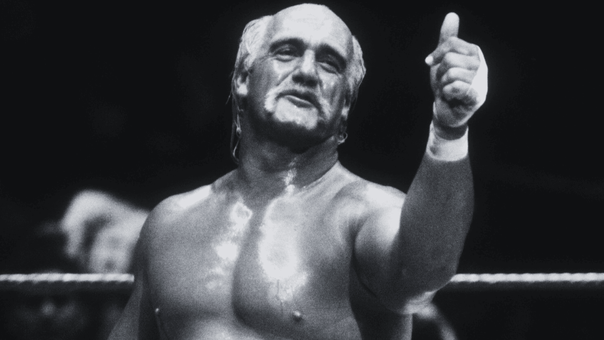 Hulk Hogan