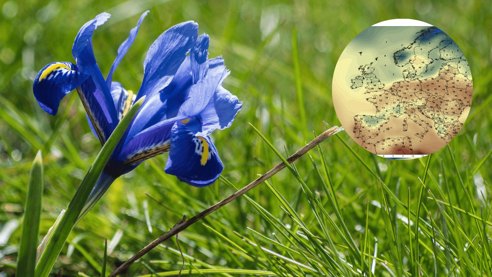 Niesłychane, jaka będzie tegoroczna Wielkanoc. Jest wstępna prognoza, na mapach widać anomalię