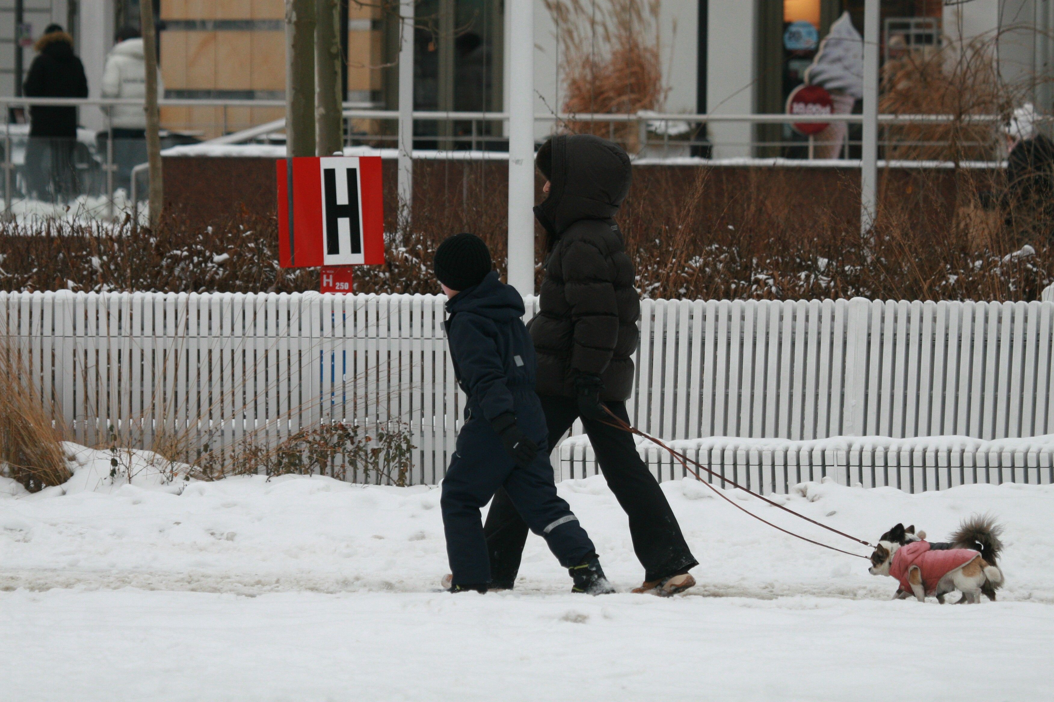 Przyłapaliśmy Martę Kaczyńską. Zaliczyła wpadkę