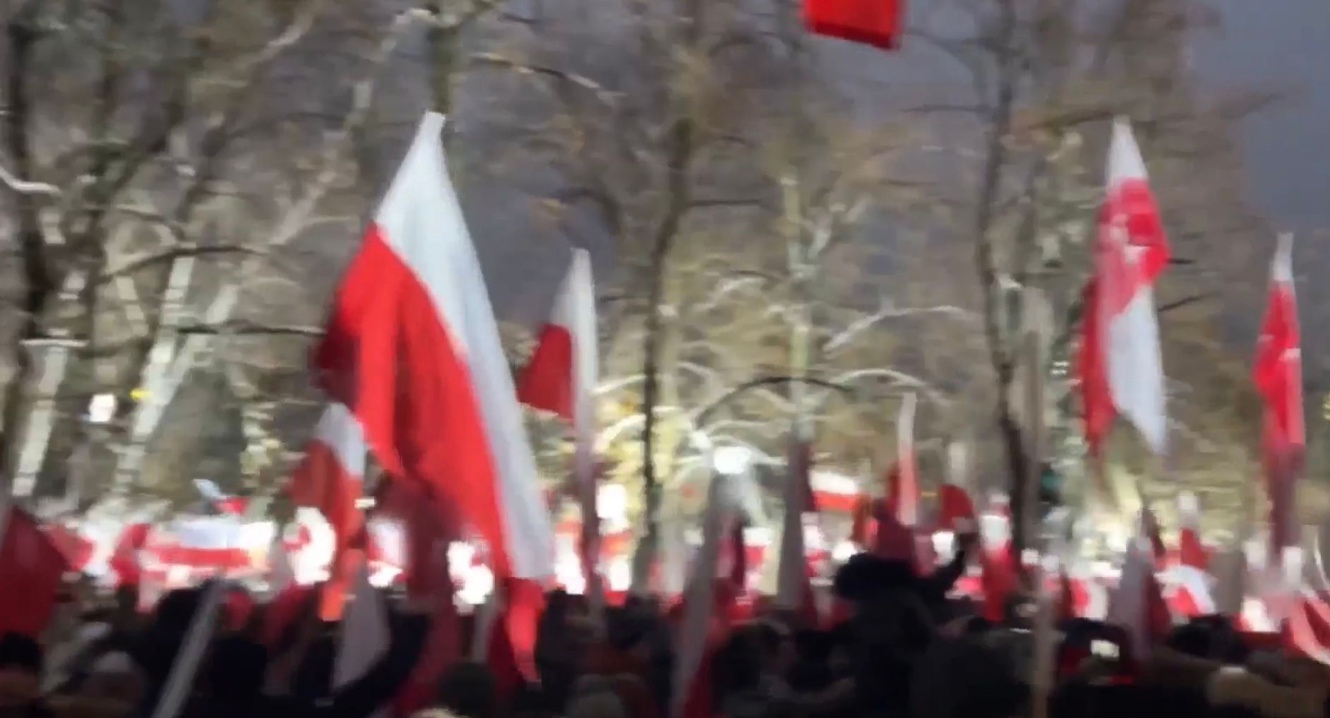 manifestacja protest flagi polski