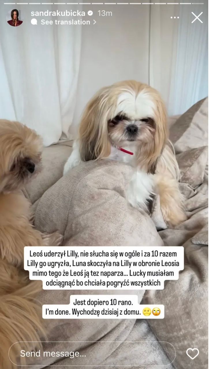 Pies pogryzł syna Kubickiej. Załamana gwiazda wydała oświadczenie