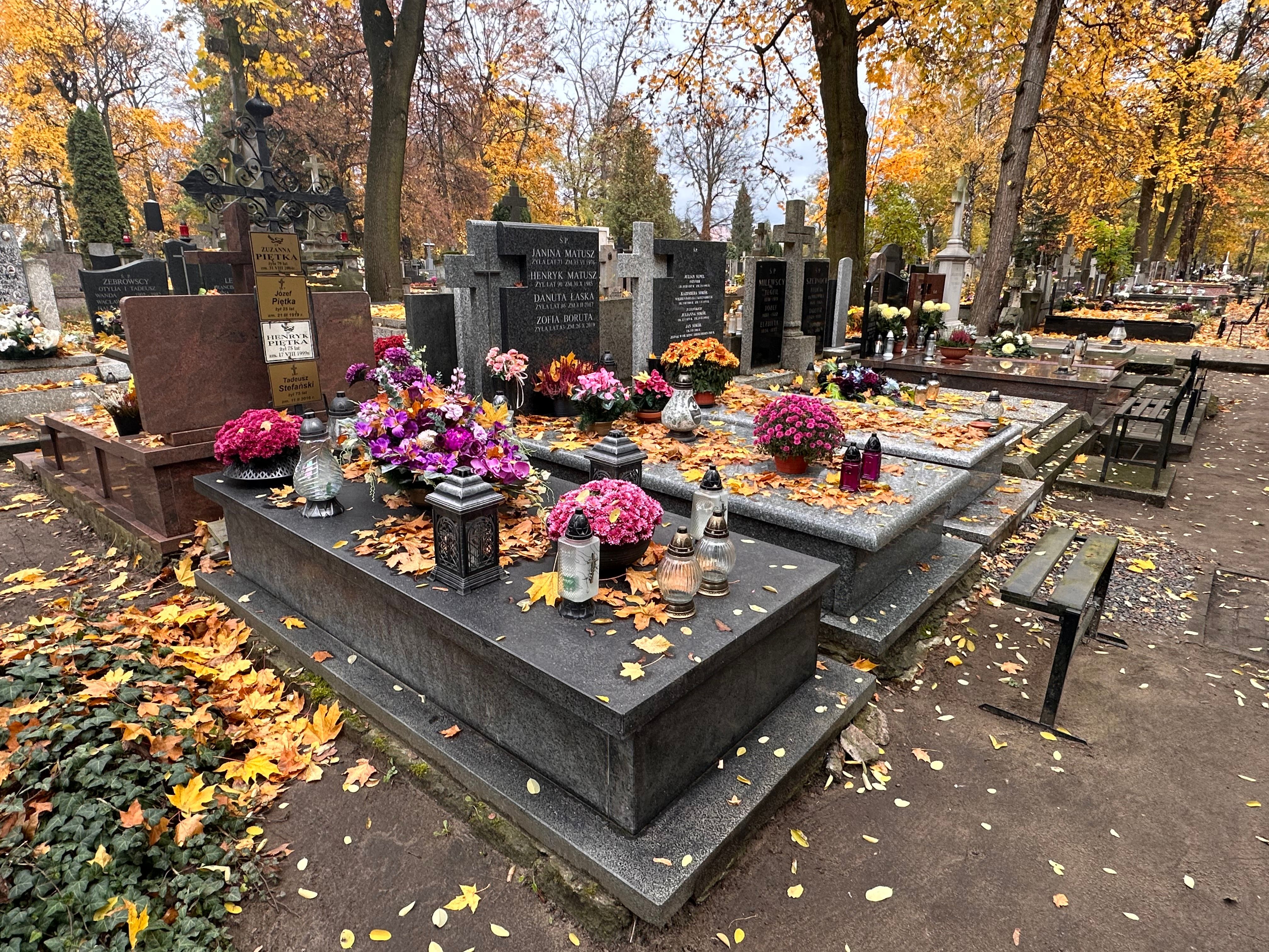 Przyszła na grób syna i nogi się pod nią ugięły. Dramat na cmentarzu, rozpaczliwy apel matki