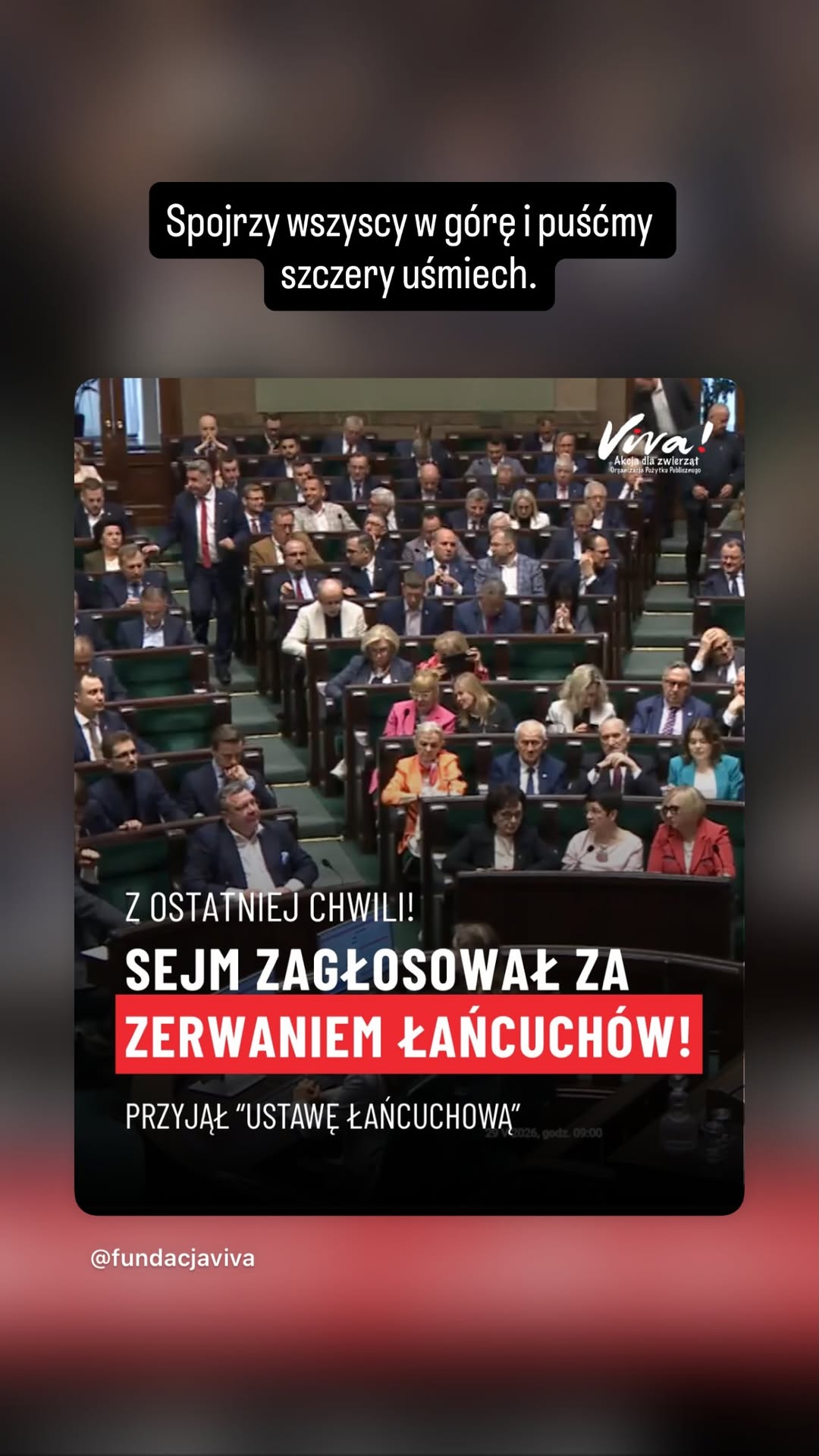 Partnerka Łukasza Litewki przerwała milczenie po uchwaleniu ustawy łańcuchowej