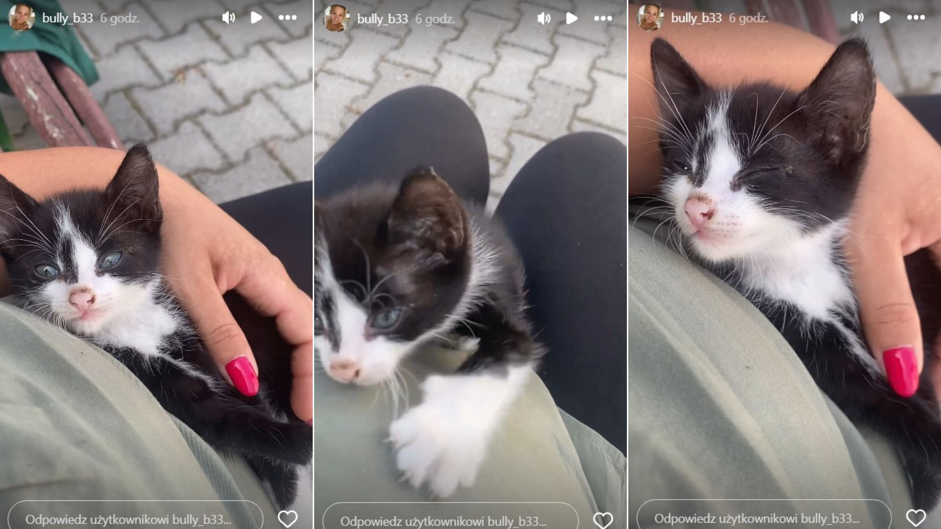 Instagram Doroty z Rolnik szuka żony, mały kotek, kiedy poród, kiedy będzie mieć dziecko