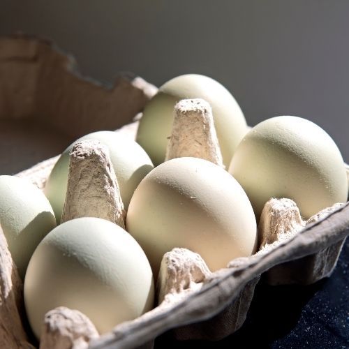 Nagły komunikat GIS. Wycofują ze sklepów jajka, wykryto bakterię salmonelli