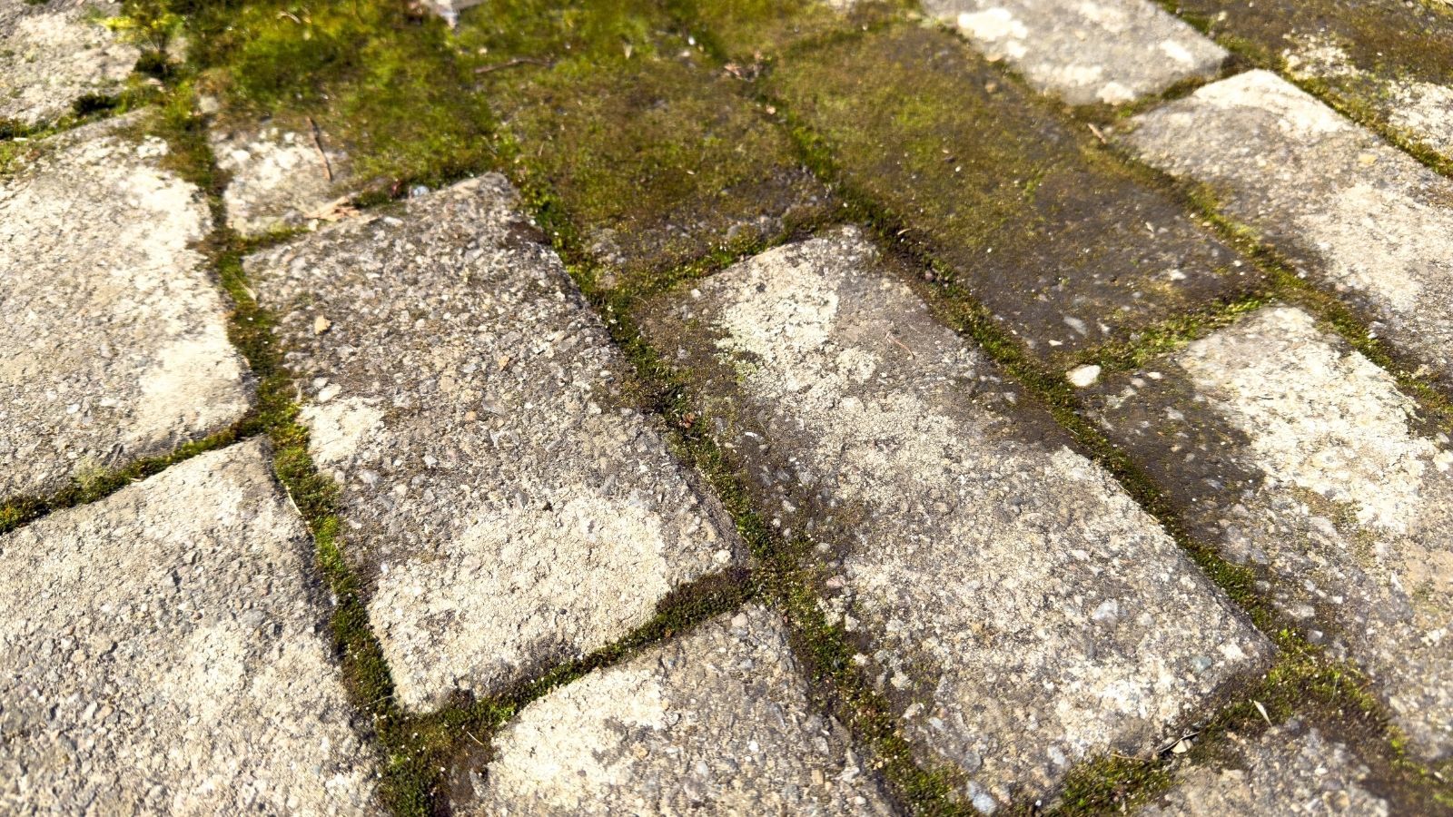 Jak usunąć zielony osad z kostki brukowej