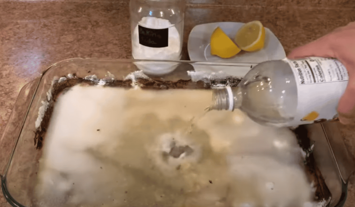 Jak wyczyścić naczynie żaroodporne?