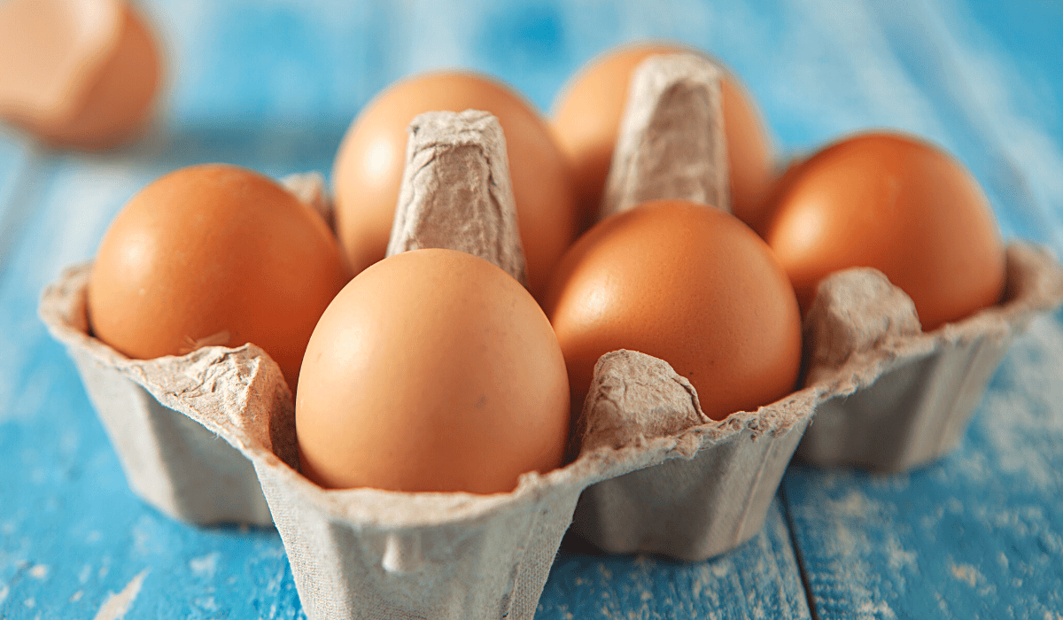 Jedno jajko dziennie jest bezpieczne