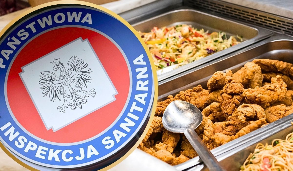 Dużo jedzenia w pojemnikach