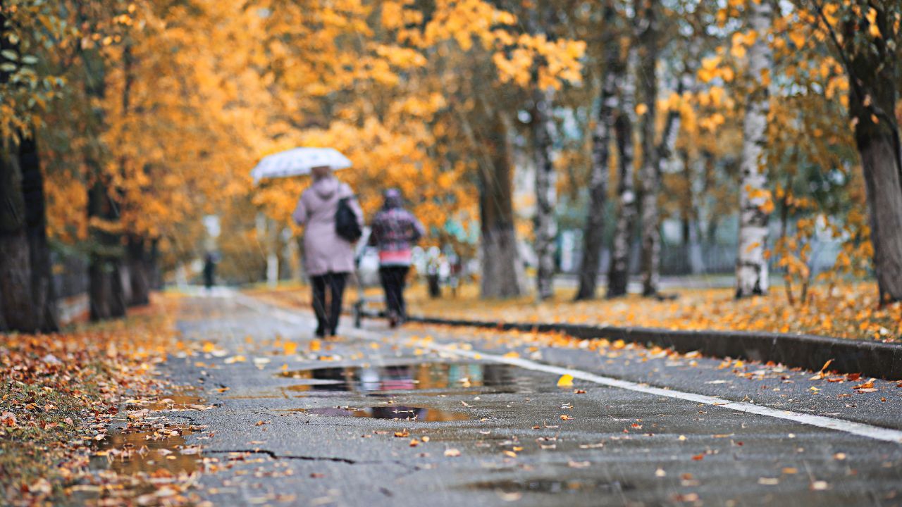 Jesień pogoda park