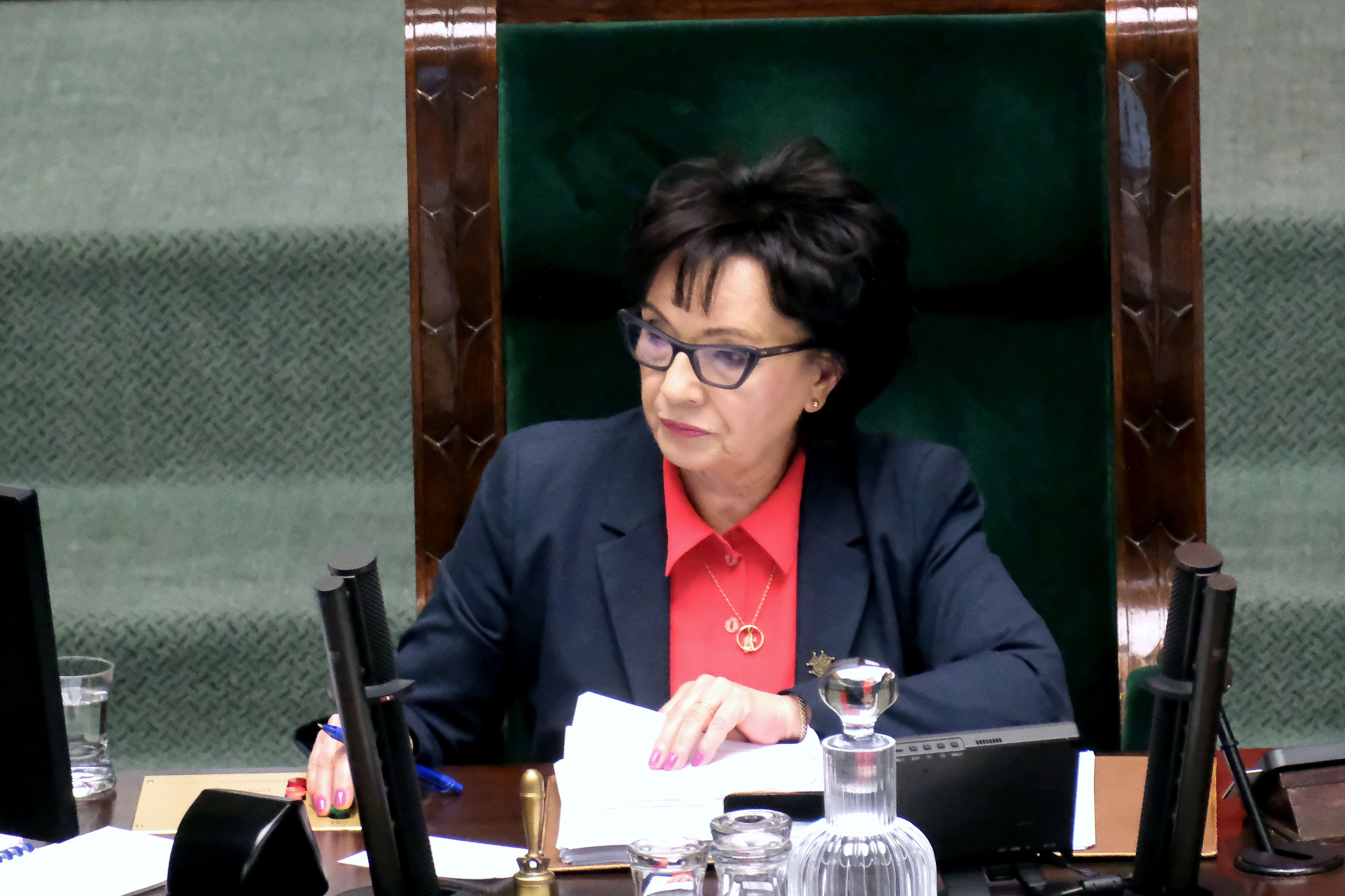 Elżbieta Witek, Sejm