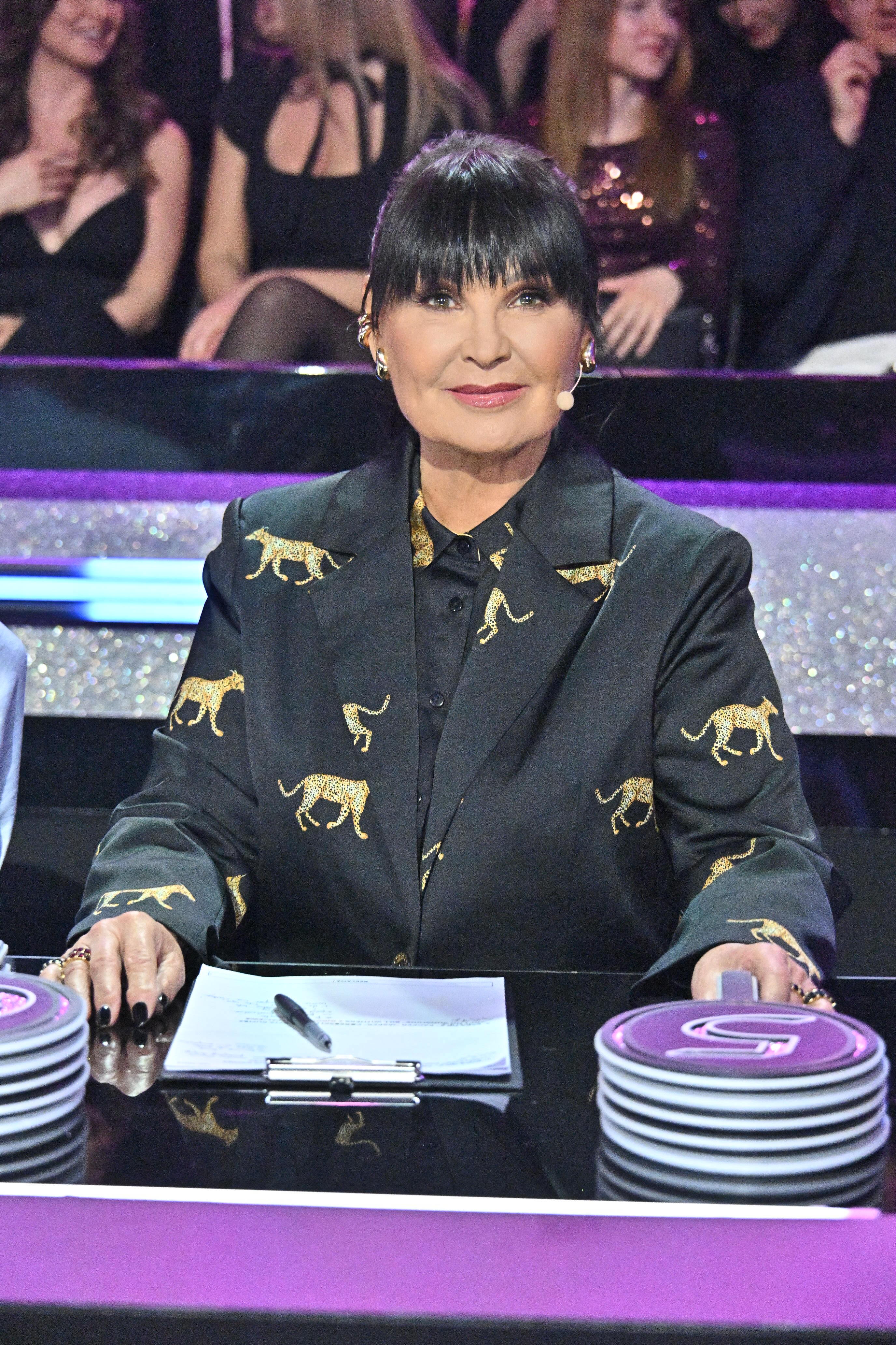 Pokłócili się o uczestnika! Ibisz musiał interweniować. Tak gorąco nie było w historii „TzG”!