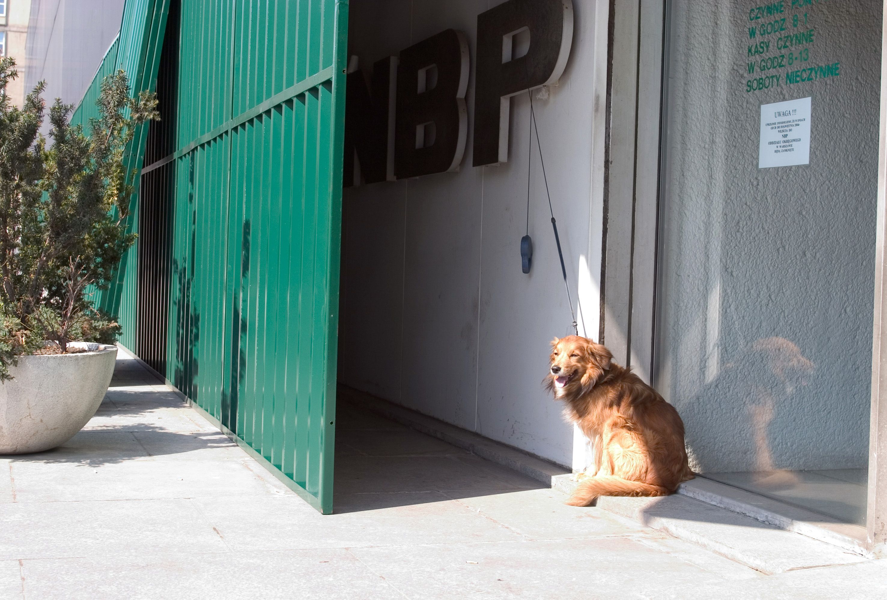 Prokuratura i policja weszła do siedziby NBP. Jest komunikat