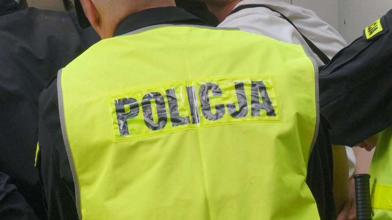 policja