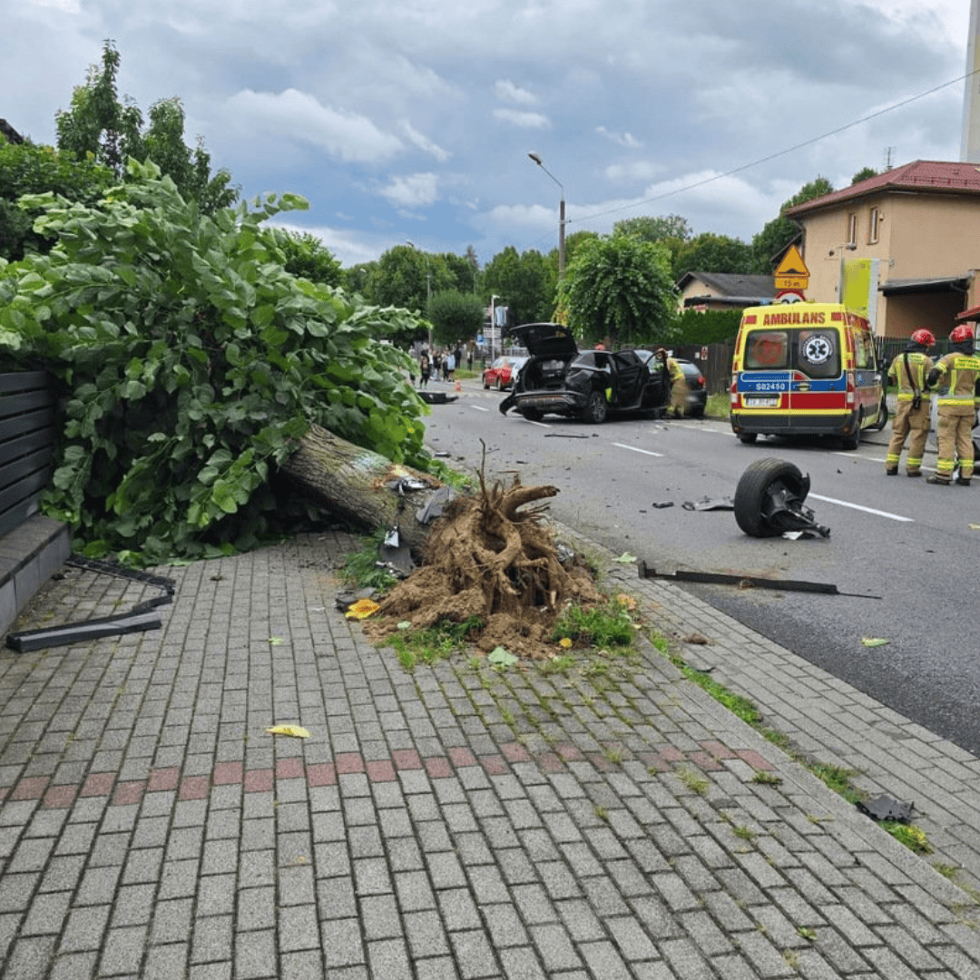 Uderzył w drzewo tak mocno, że wyrwał je z korzeniami. Groźne zdarzenie w Żorach