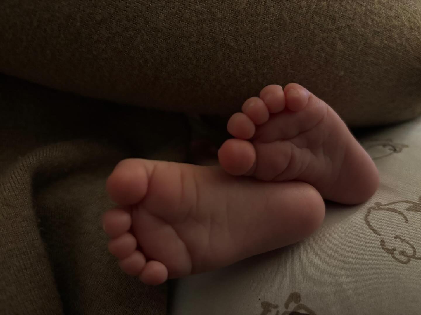 Katarzyna Żak, fot. Instagram