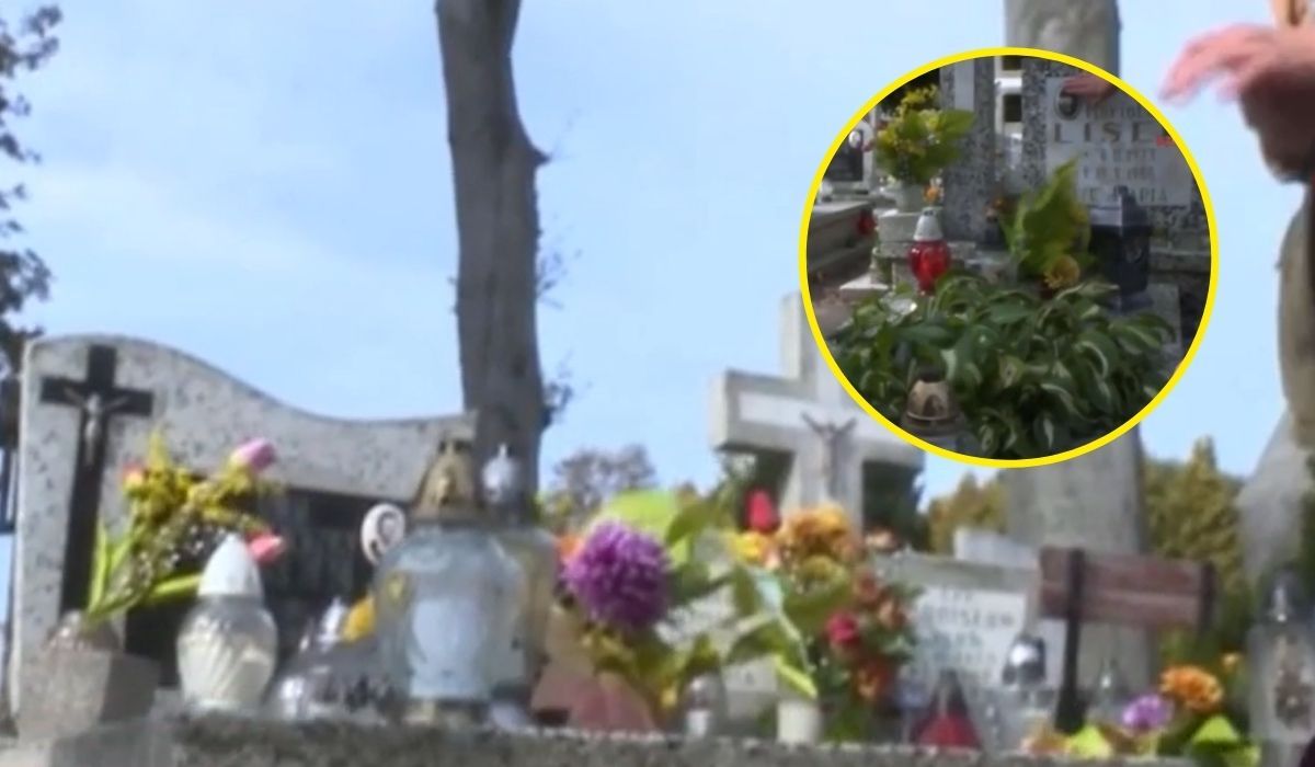 Kobieta przyszła na cmentarz, gdzie czekało ją wielkie zaskoczenie, fot. kadr z programu „Kronika” TVP Szczecin