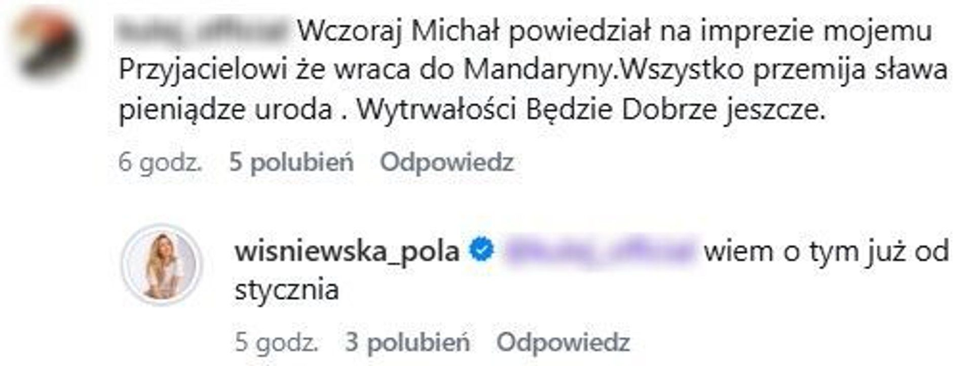 Wiśniewski oficjalnie potwierdził. "Jestem z Mandaryną". Podał datę