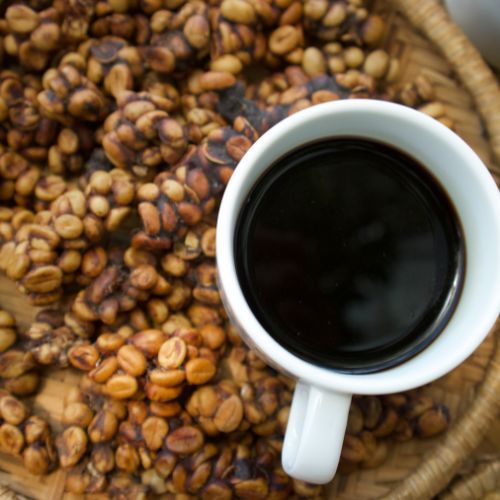 Kopi Luwak