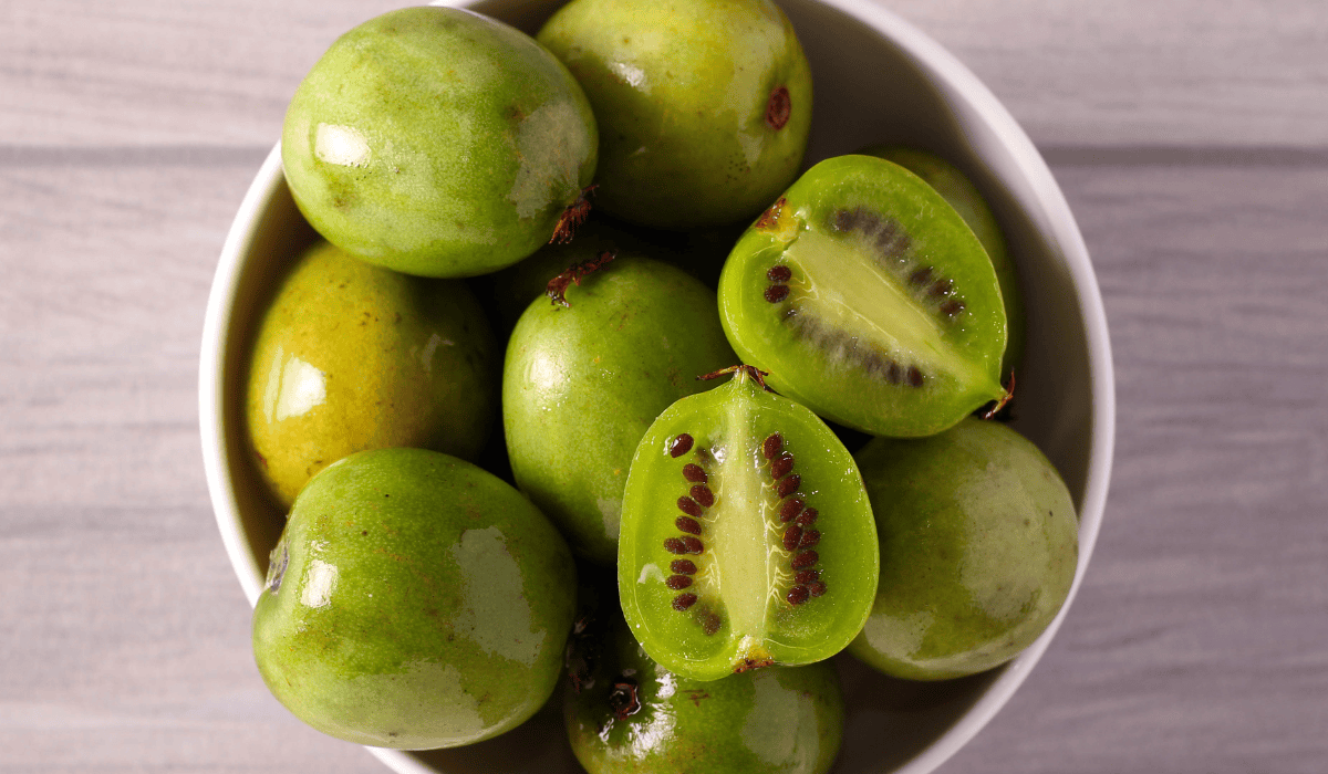 Mini kiwi