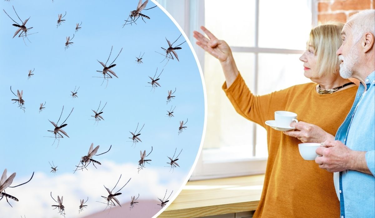 W PRL-u była w prawie każdym domu. Na komary działa jak moskitiera