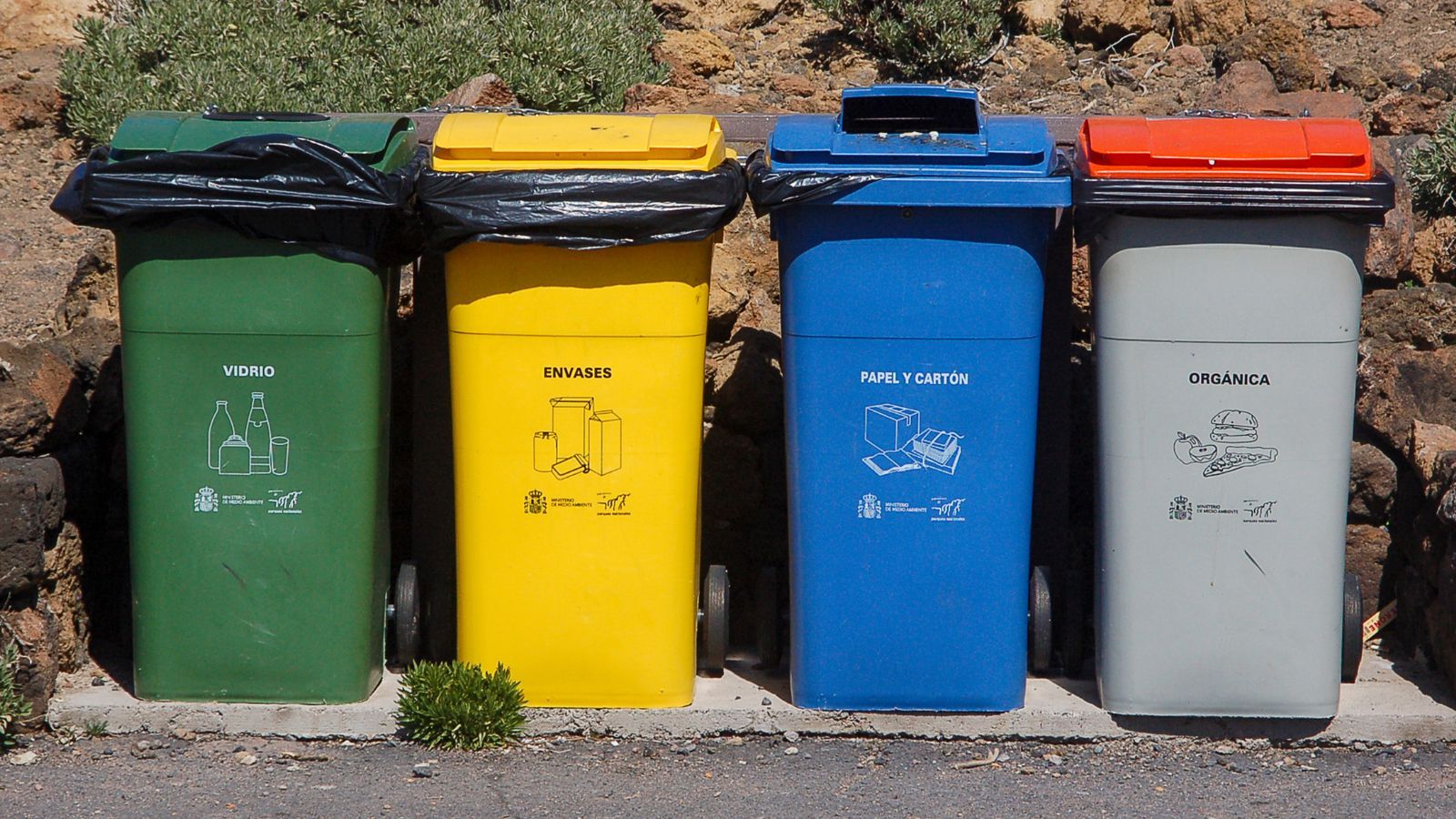 Kosze na śmieci segregacja