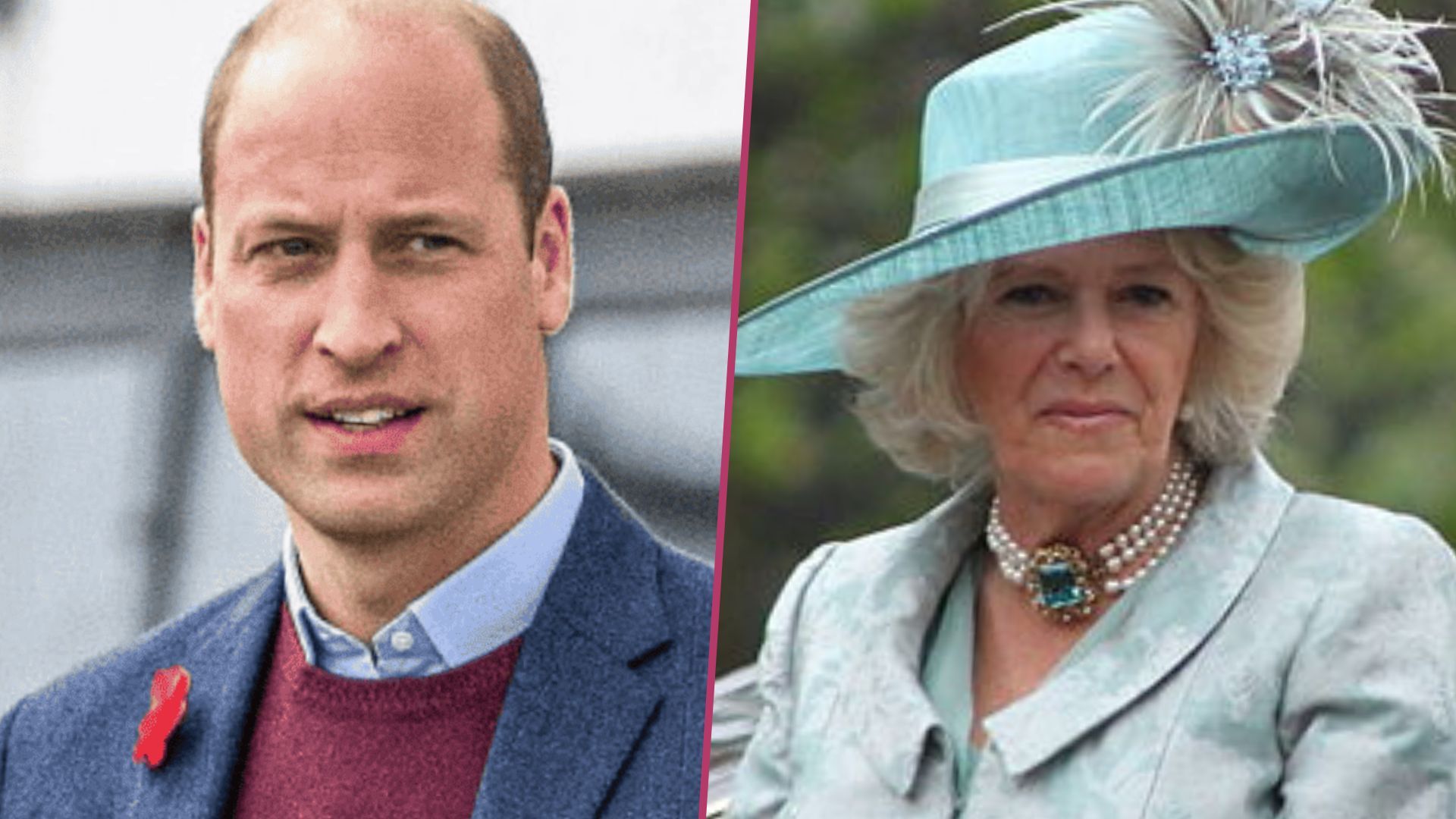 Książę William i królowa Camilla