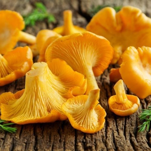 Kotlety mielone z kurkami. Cudownie soczyste i pyszne