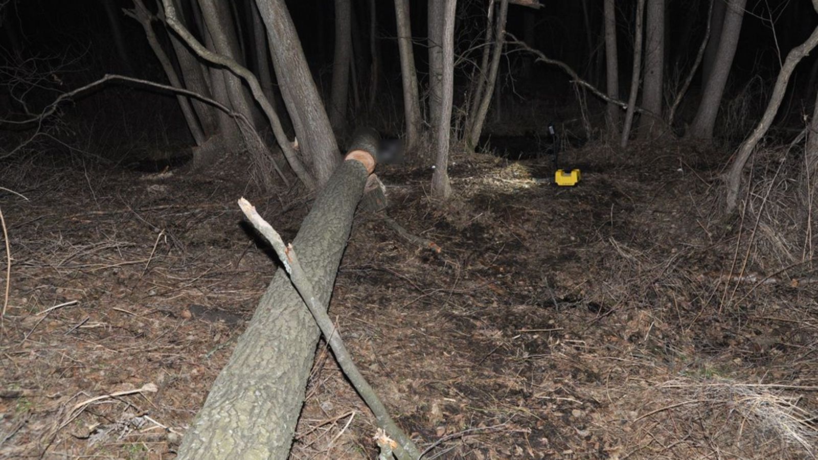 Michał Troszkiewicz