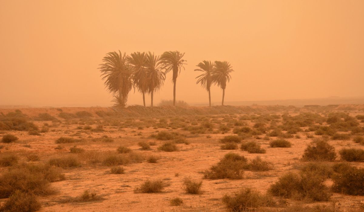pył znad sahary