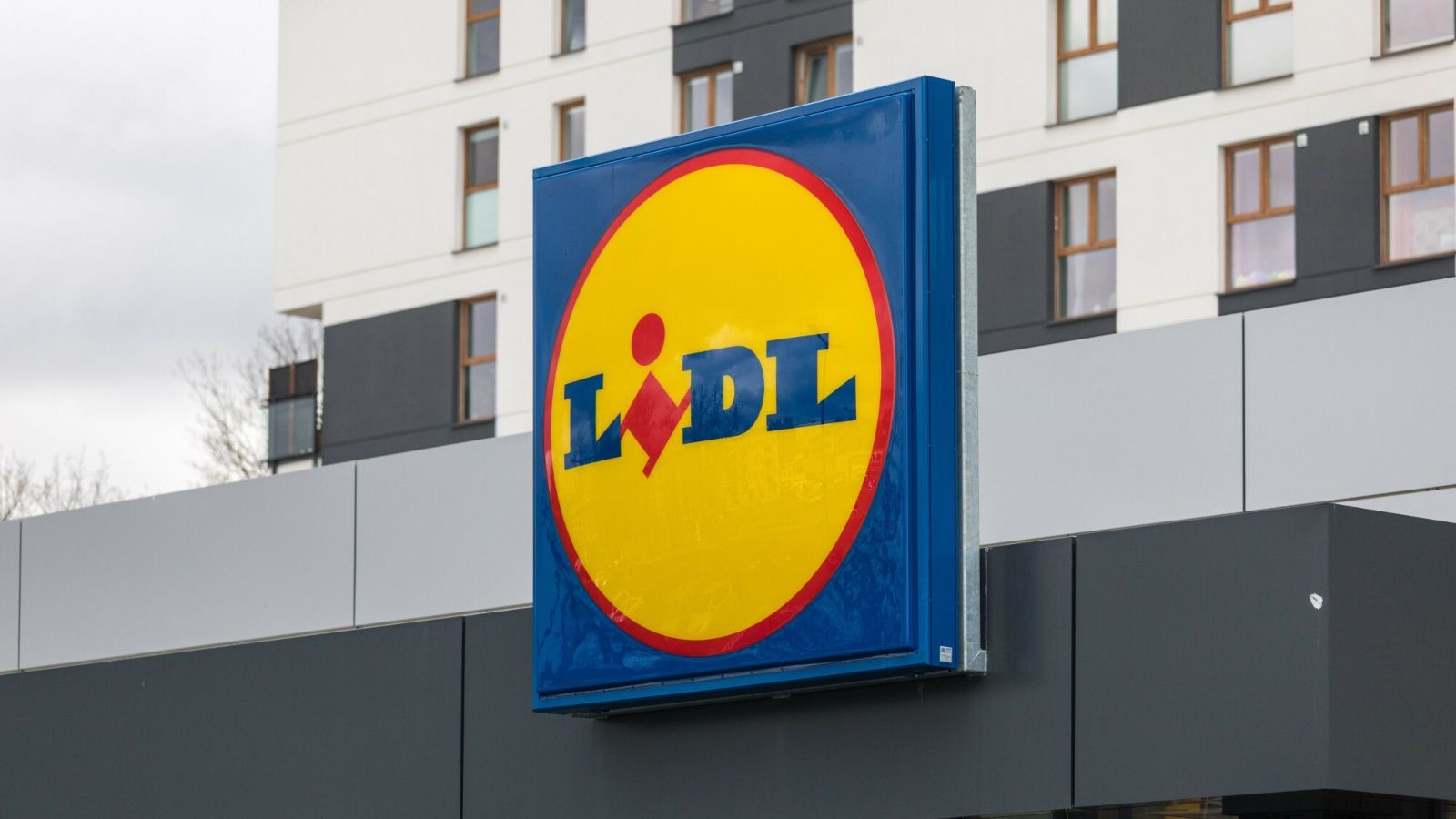 Od 1 grudnia w Lidlu szaleństwo. "1+1" za grosz i nie tylko. Towar rozchodzi się błyskawicznie