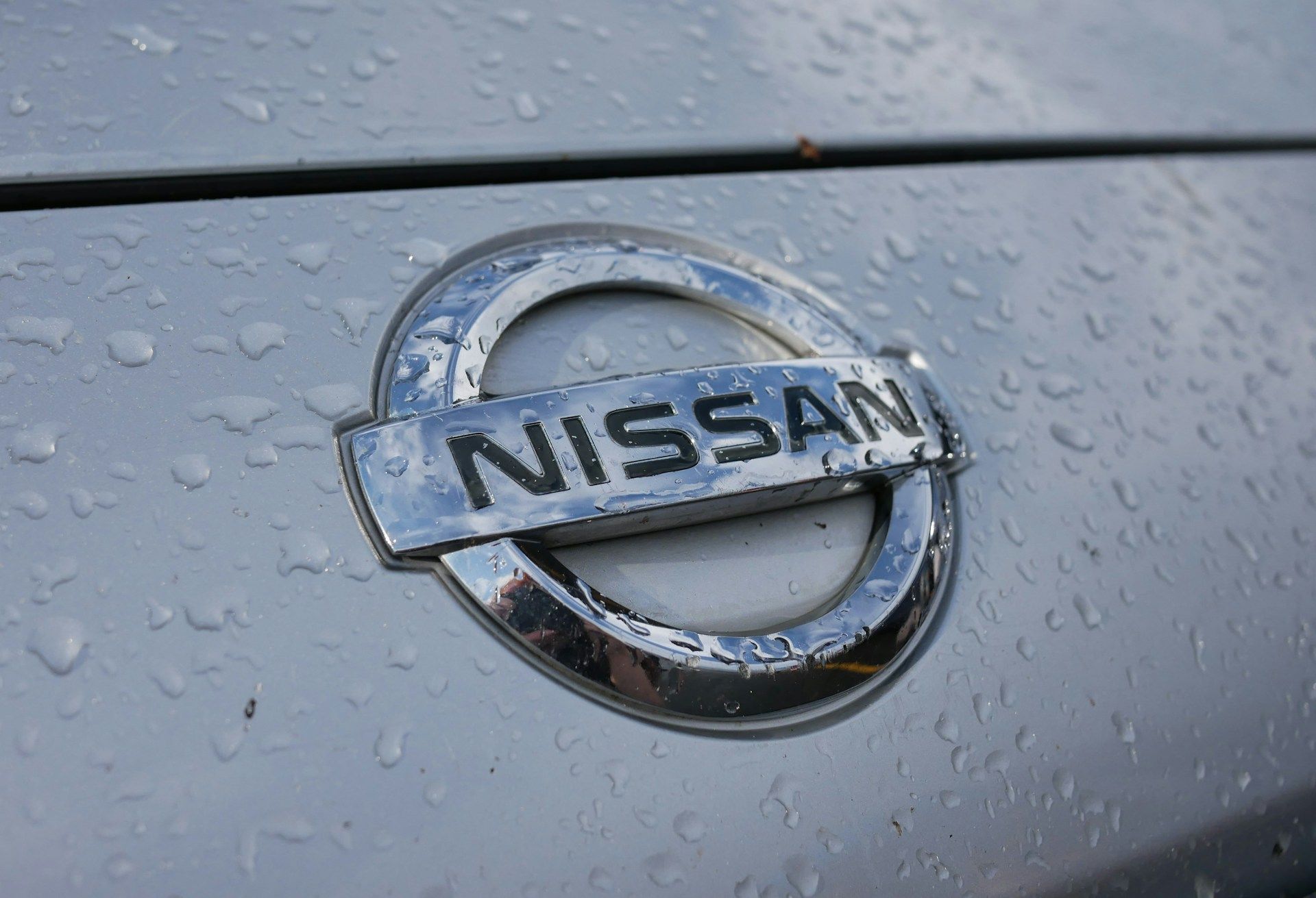 Logo NIssana