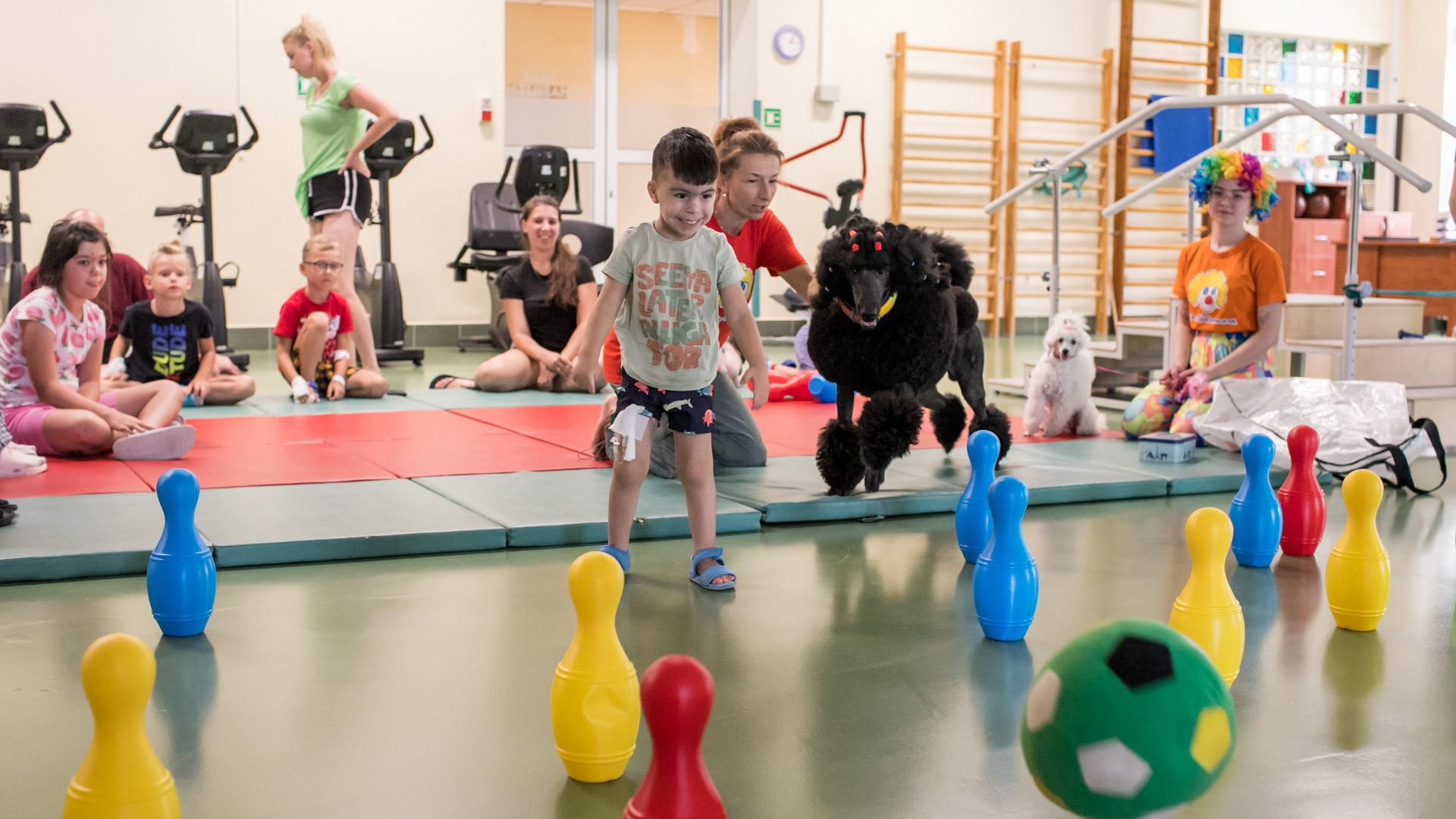 Zwierzęta zmieniają nasze życie na lepsze – Mars Polska wspiera programy adopcyjne, edukacyjne i terapeutyczne 