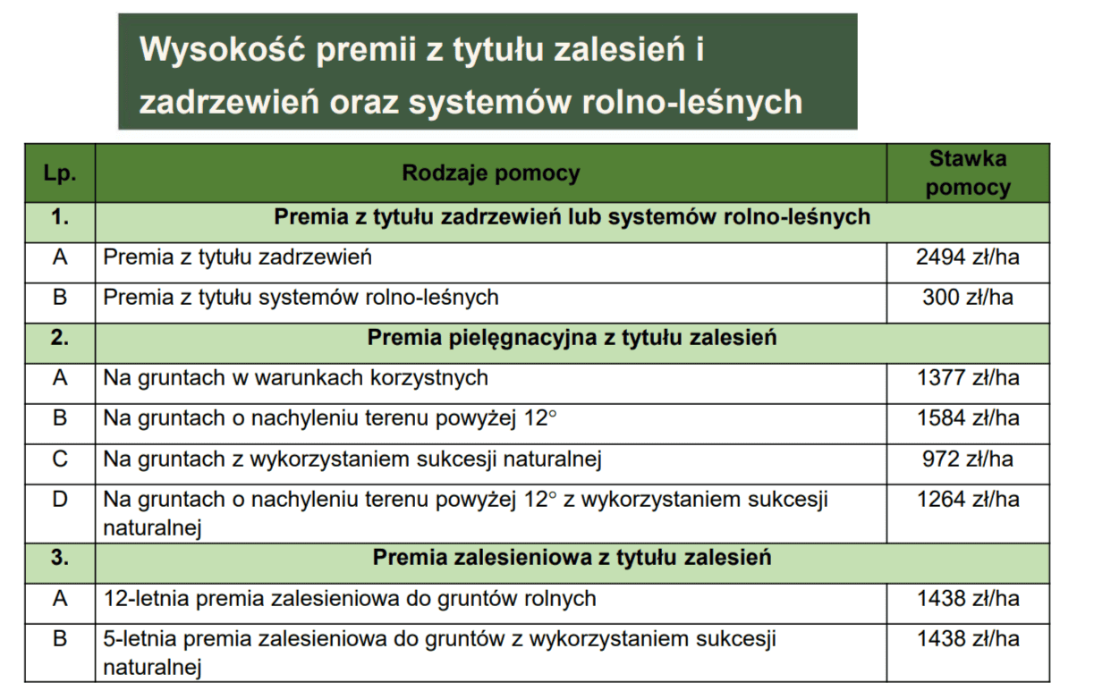 MRIRW (2).png