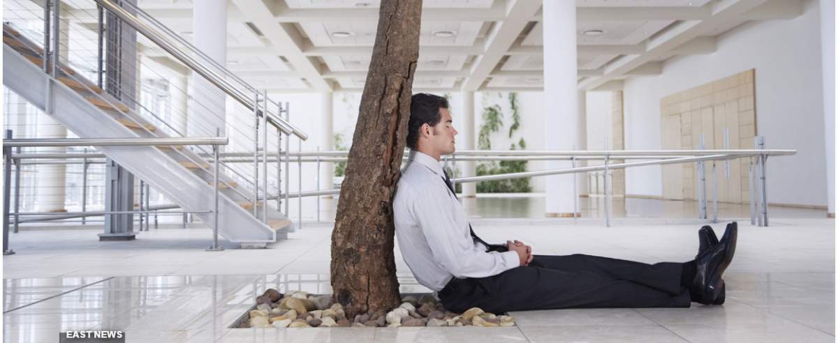 Mandatory Credit: Photo by David Oxberry / Mood Board / Rex Features ( 1262032a ) MODEL RELEASED Businessman resting under tree outside office Work Dynamic