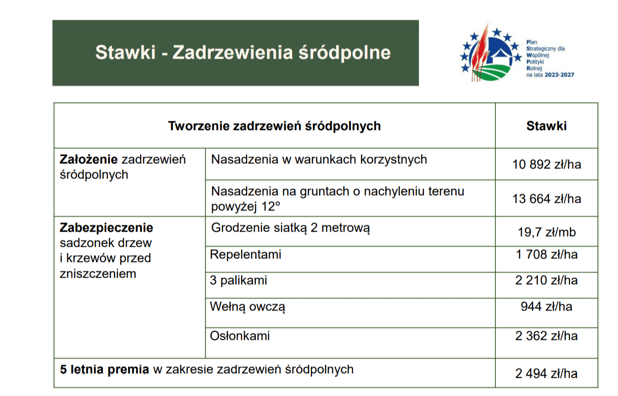 MRiRW stawki.png