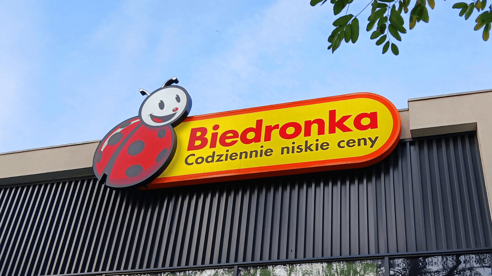Biedronka wycofuje popularny produkt. GIS ostrzega przed groźną bakterią