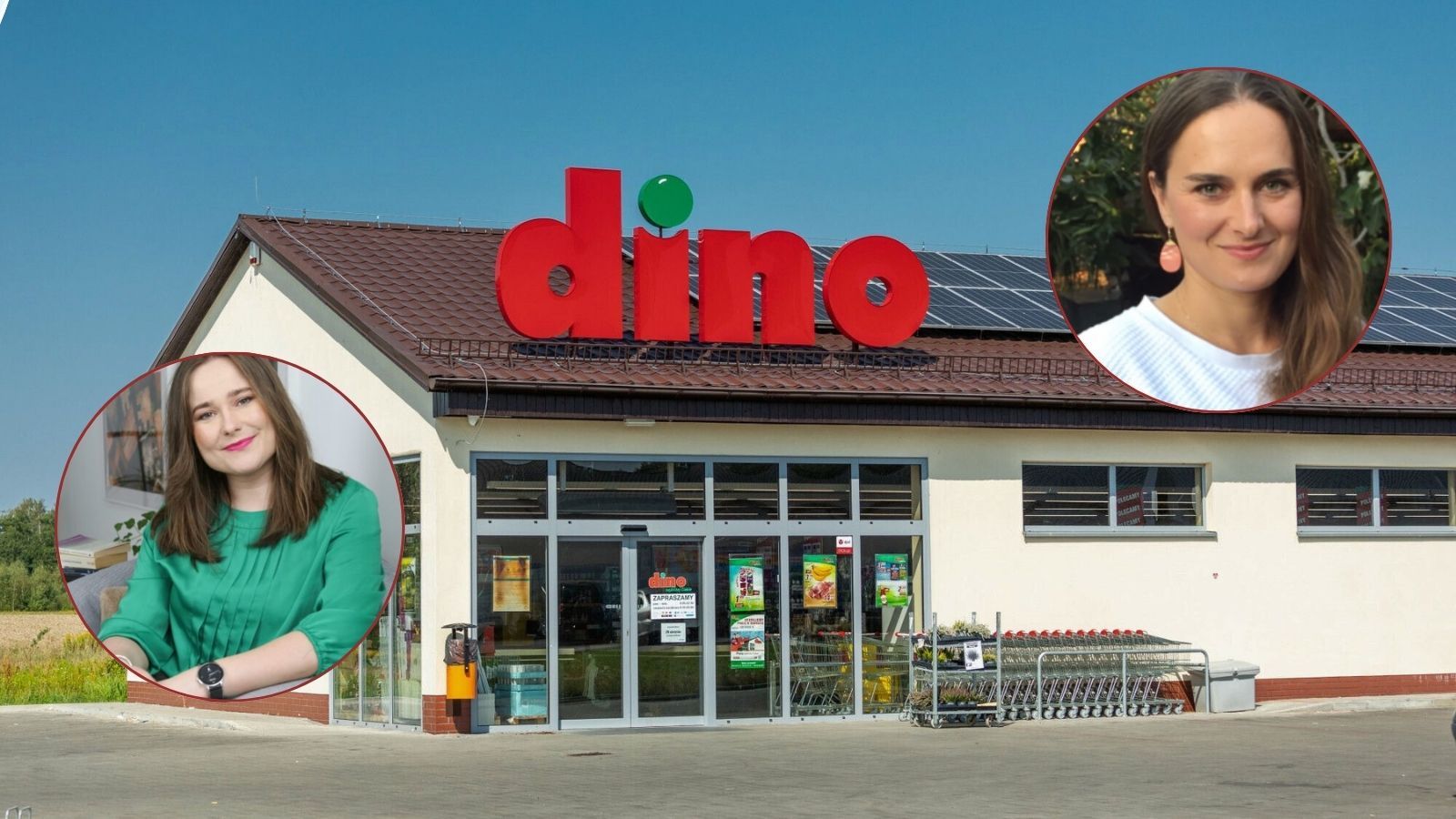 To dlatego właściciel Dino nie pokazuje twarzy. Ekspertki obnażają brutalną prawdę