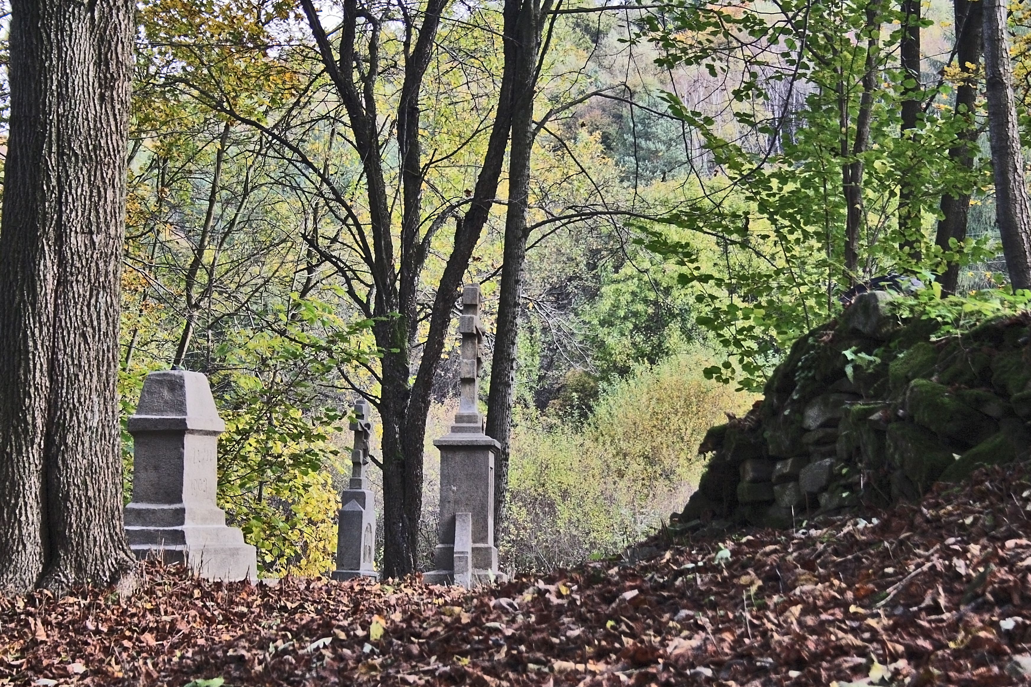 Magurski_Park_Narodowy_8.jpg