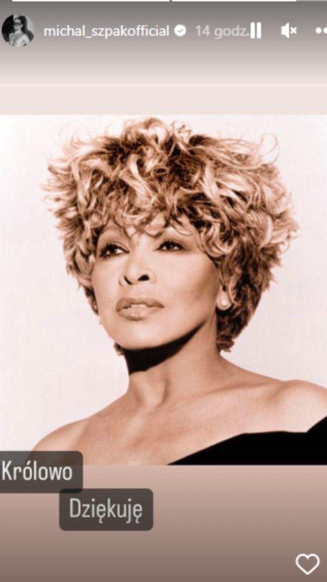 Michał Szpak Tina Turner.jpg