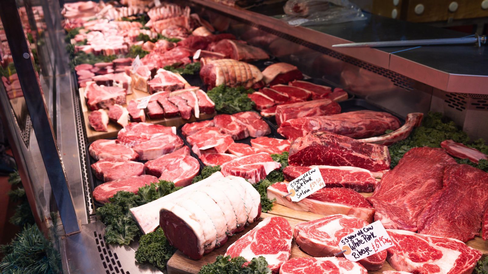 Magdalena Fordymacka