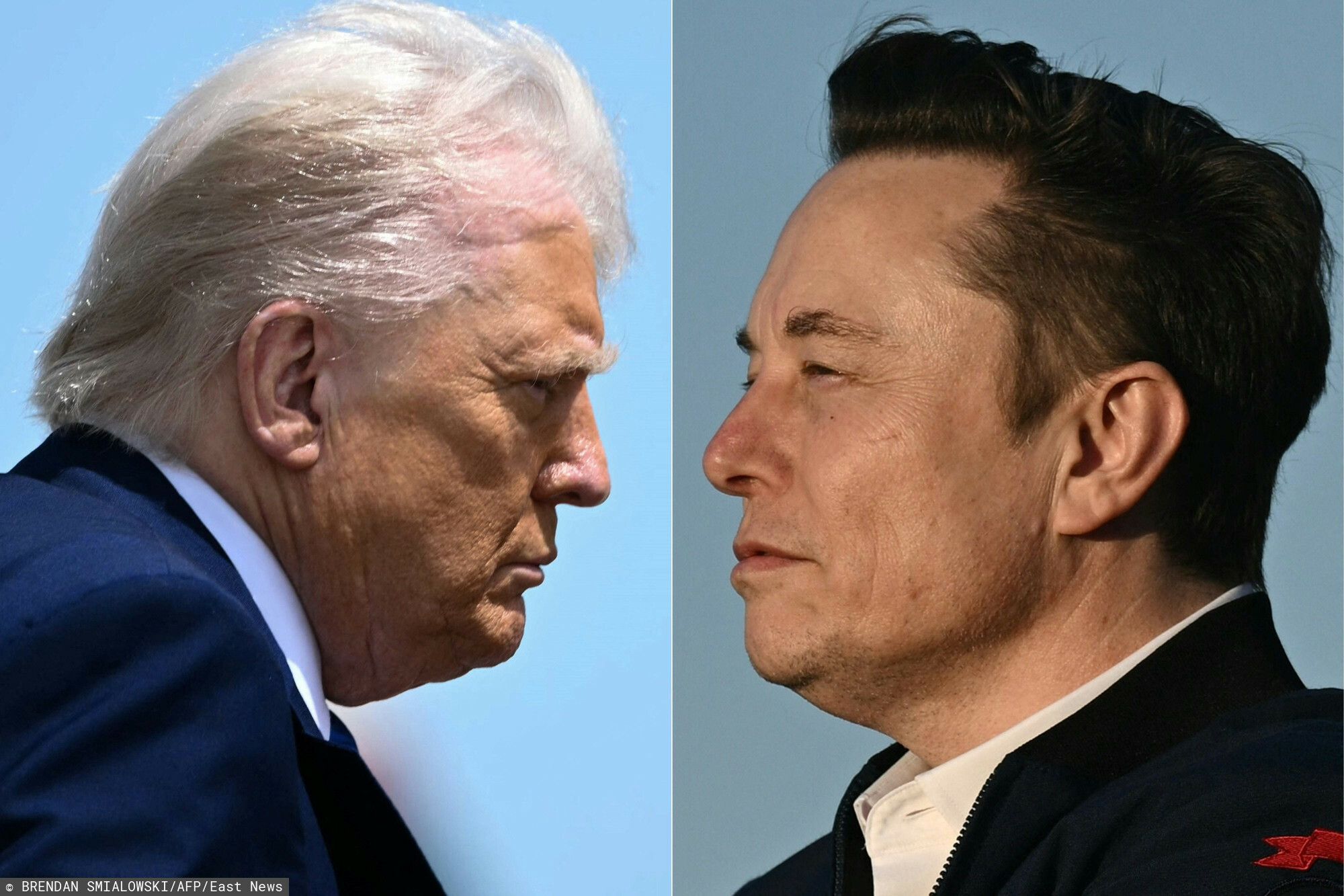 Musk Trump.jpg
