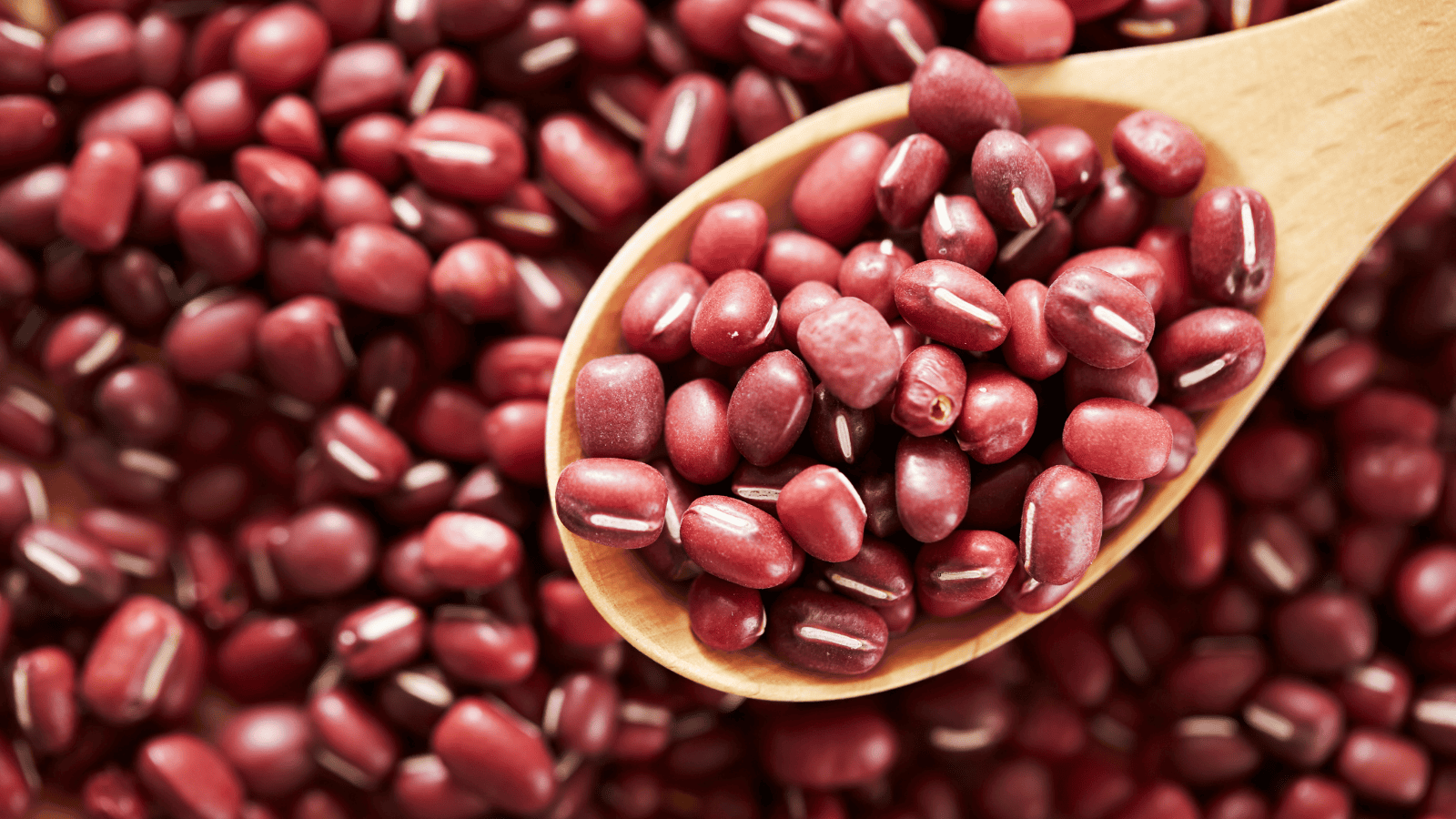 Magdalena Fordymacka