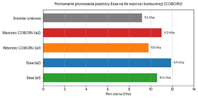 Essa – pszenica, która nie boi się wyzwań