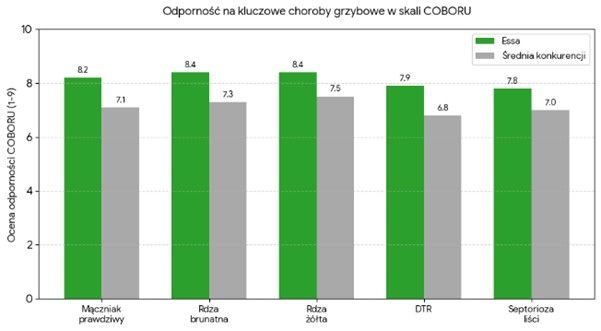 Essa – pszenica, która nie boi się wyzwań