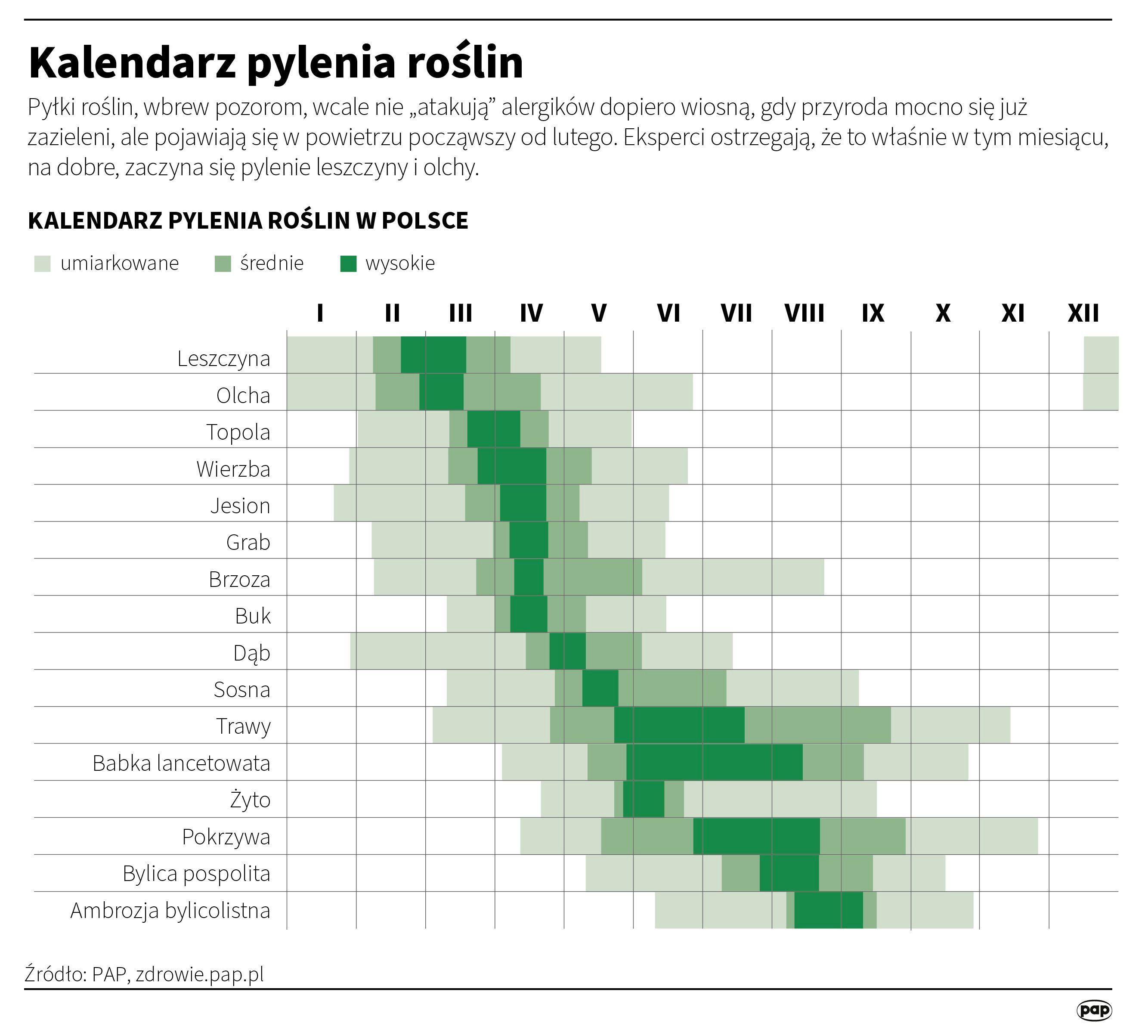 Przeziębienie czy pierwsza wiosenna alergia? Zobacz kalendarz pylenia na marzec