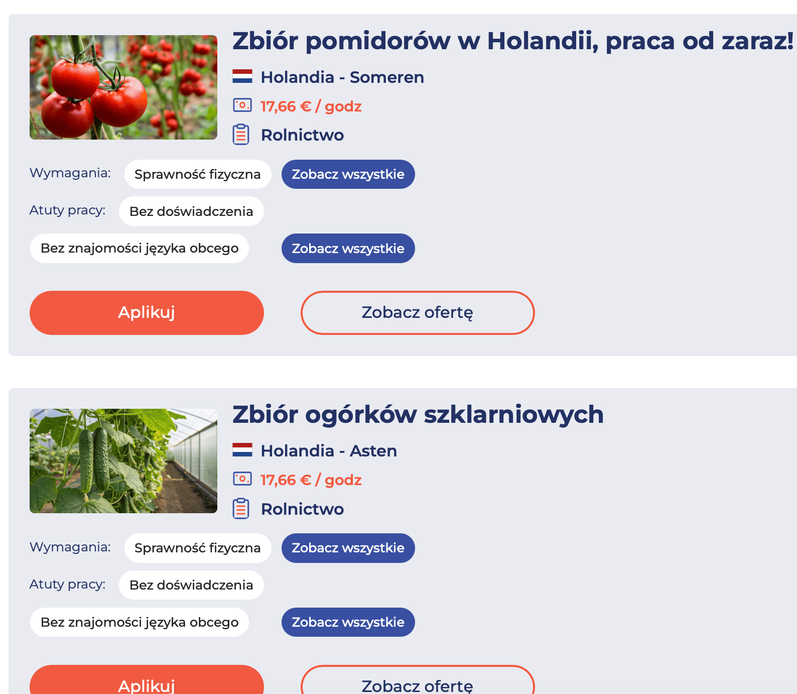Chcesz zarobić 16 tys. zł w miesiąc? Praca sezonowa u sąsiadów kusi stawkami