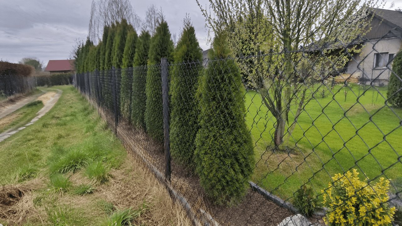 Możesz stracić część działki przez sąsiada. Wystarczy popełnić ten jeden błąd