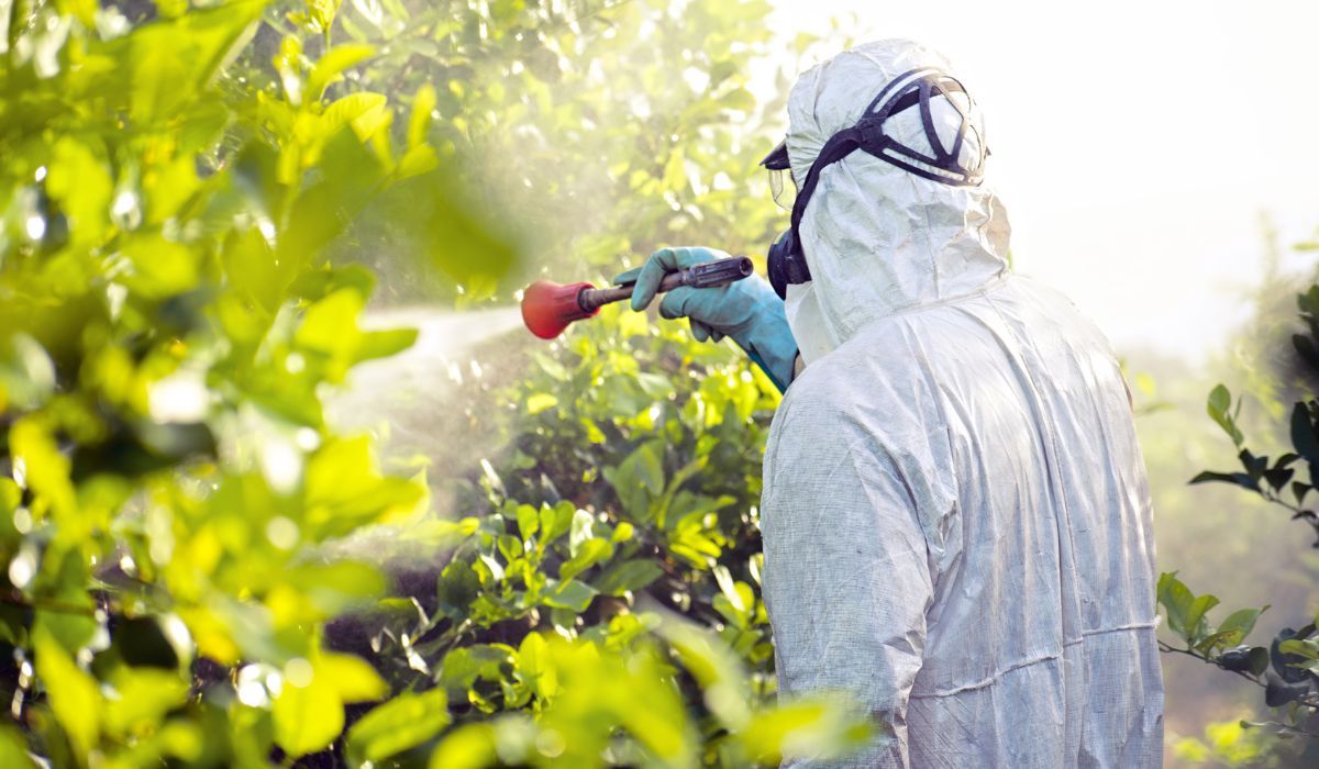Opryskiwanie roślin pestycydy